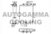 AUTOGAMMA 104358 Radiator, engine cooling